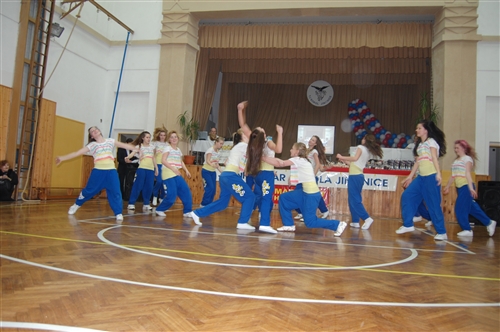 Obrázek v galerii