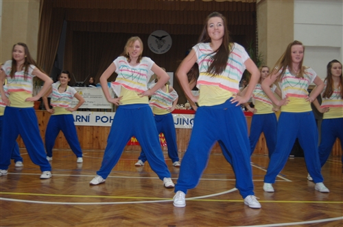 Obrázek v galerii
