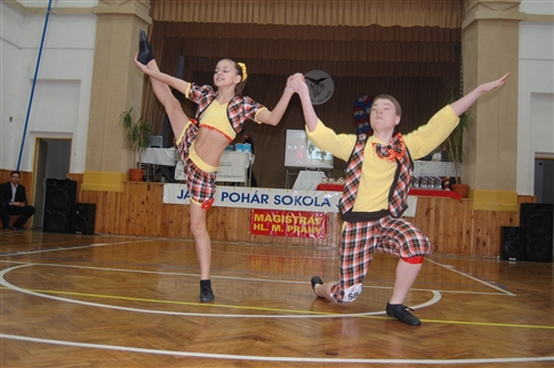 Obrázek v galerii