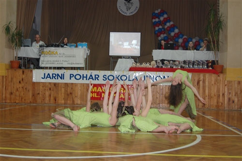 Obrázek v galerii