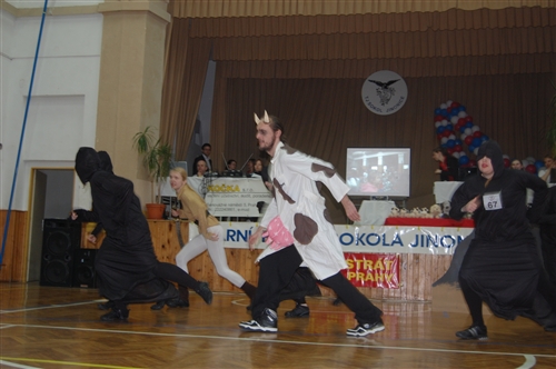 Obrázek v galerii