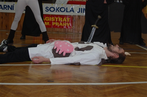 Obrázek v galerii