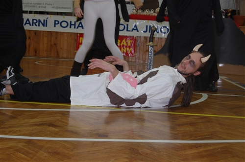 Obrázek v galerii