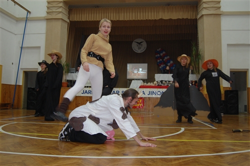 Obrázek v galerii