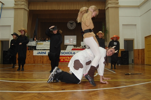 Obrázek v galerii