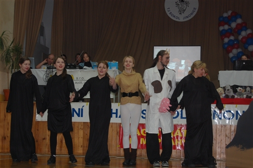 Obrázek v galerii