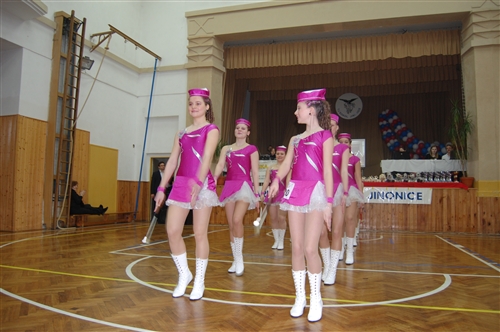 Obrázek v galerii
