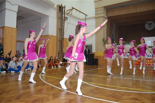 Obrázek v galerii