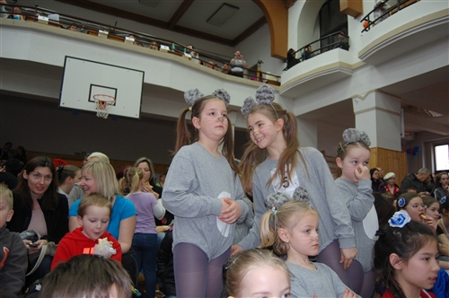Obrázek v galerii