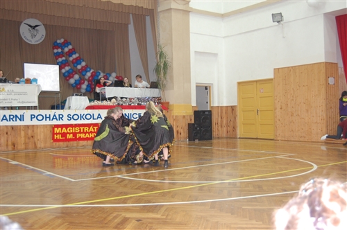 Obrázek v galerii