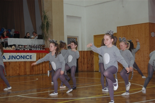 Obrázek v galerii
