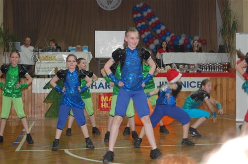 Obrázek v galerii