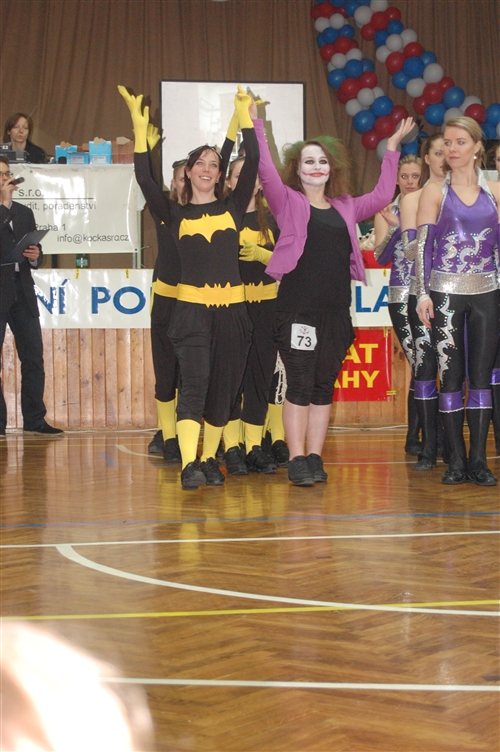 Obrázek v galerii