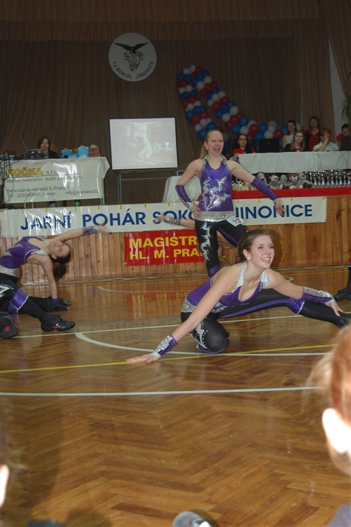 Obrázek v galerii