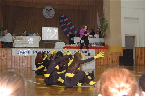 Obrázek v galerii