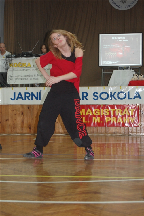 Obrázek v galerii