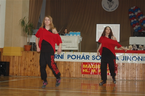 Obrázek v galerii