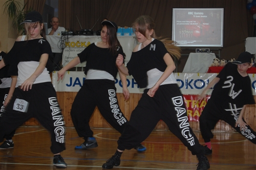 Obrázek v galerii