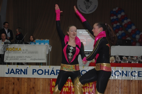 Obrázek v galerii