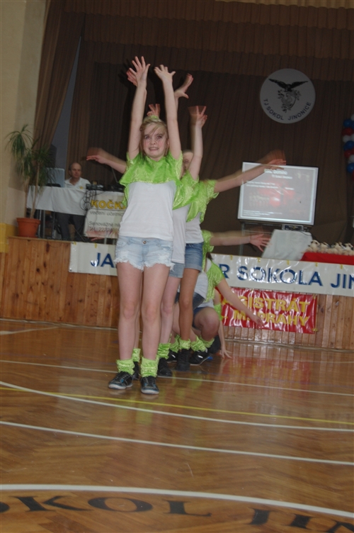 Obrázek v galerii