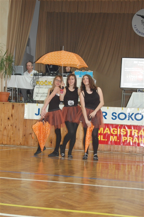 Obrázek v galerii