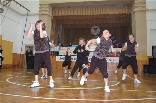 Obrázek v galerii