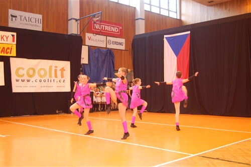 Obrázek v galerii