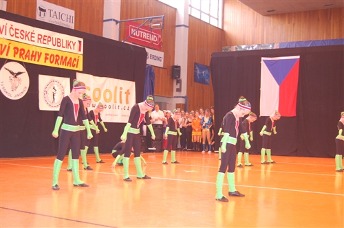 Obrázek v galerii