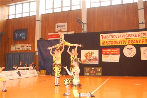 Obrázek v galerii