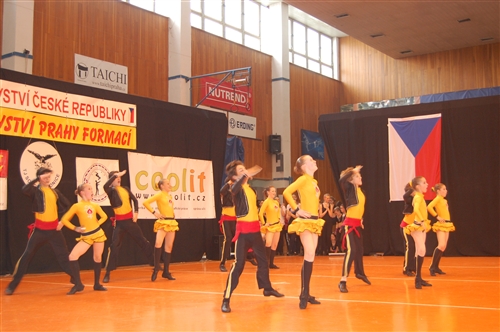 Obrázek v galerii