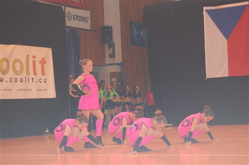 Obrázek v galerii