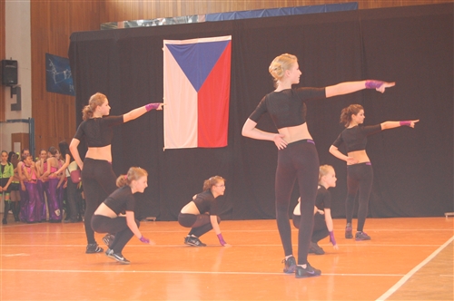 Obrázek v galerii