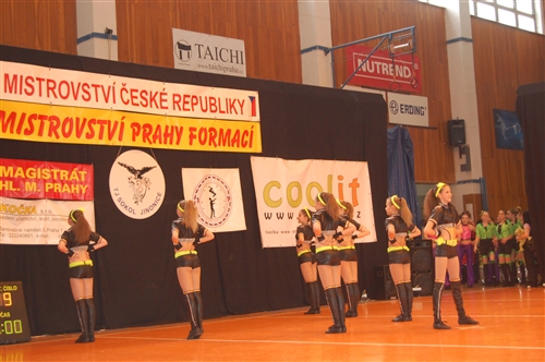 Obrázek v galerii