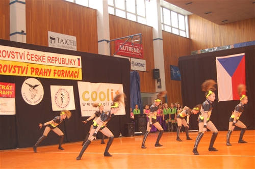 Obrázek v galerii