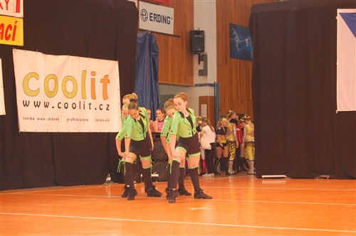 Obrázek v galerii