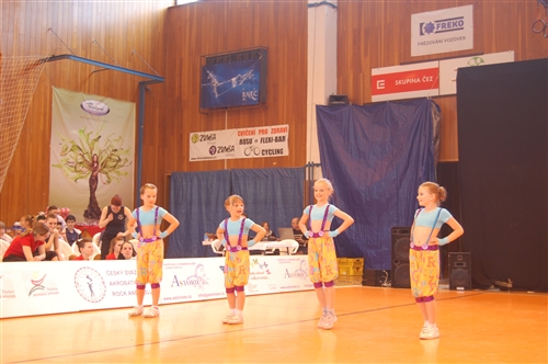Obrázek v galerii