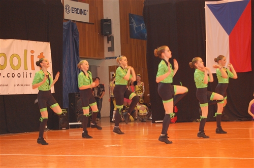 Obrázek v galerii