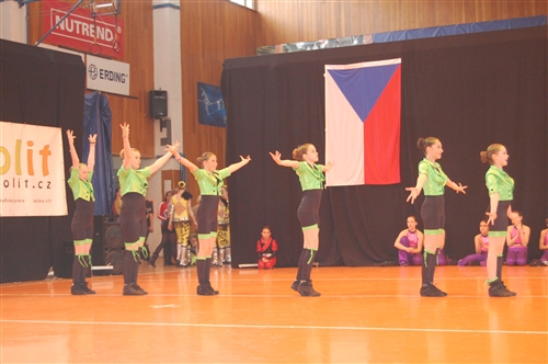 Obrázek v galerii