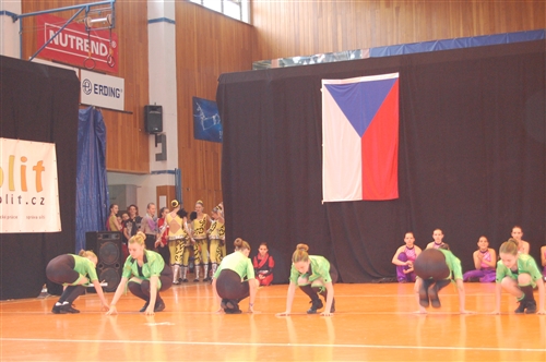 Obrázek v galerii