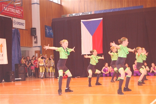 Obrázek v galerii