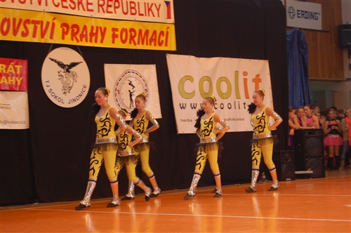 Obrázek v galerii