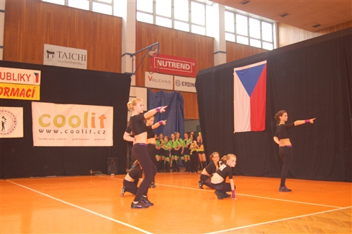 Obrázek v galerii