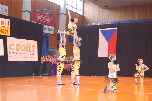 Obrázek v galerii