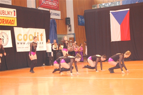 Obrázek v galerii