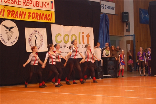Obrázek v galerii