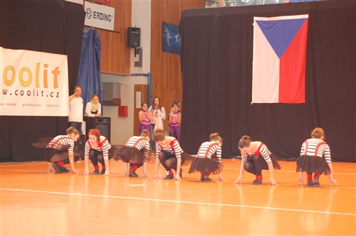 Obrázek v galerii