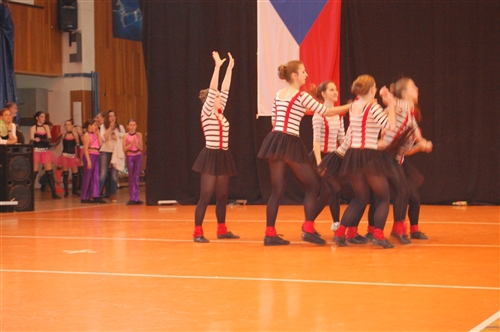 Obrázek v galerii