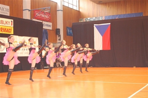 Obrázek v galerii