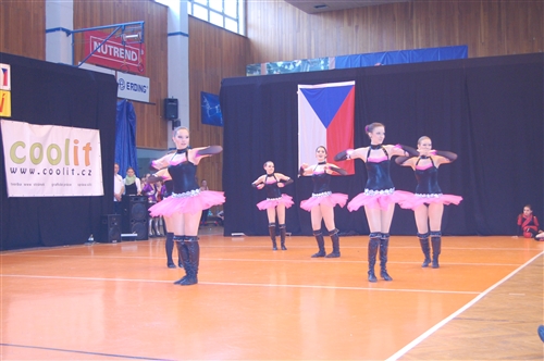 Obrázek v galerii