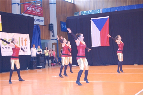 Obrázek v galerii